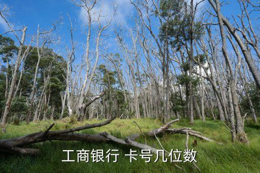 工商銀行 卡號(hào)幾位數(shù)