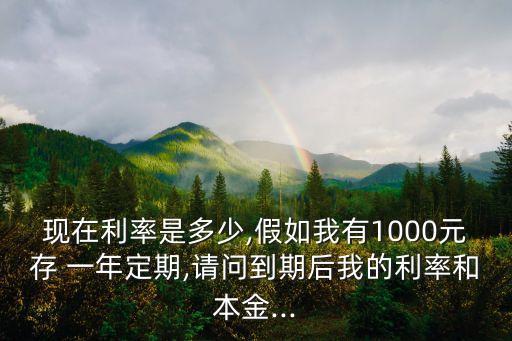 如果我存了一千一年后本息是多少