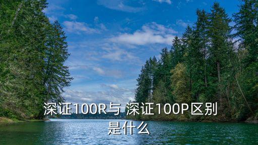  深證100R與 深證100P區(qū)別是什么
