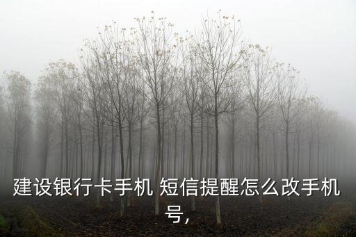更改建行短信服務號碼是多少,建行怎么更改短信服務