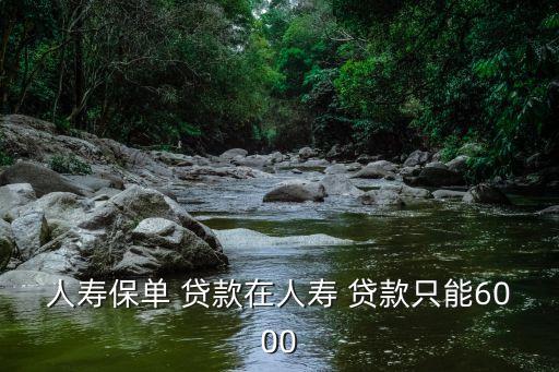 人壽保單 貸款在人壽 貸款只能6000