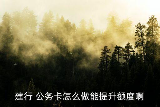 建行 公務(wù)卡怎么做能提升額度啊