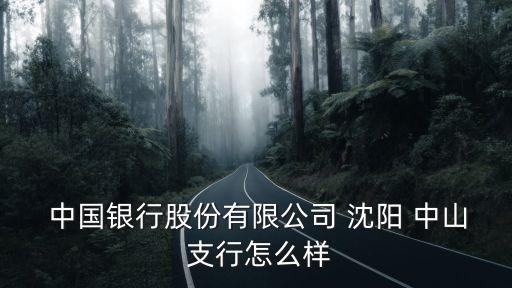  中國銀行股份有限公司 沈陽 中山 支行怎么樣