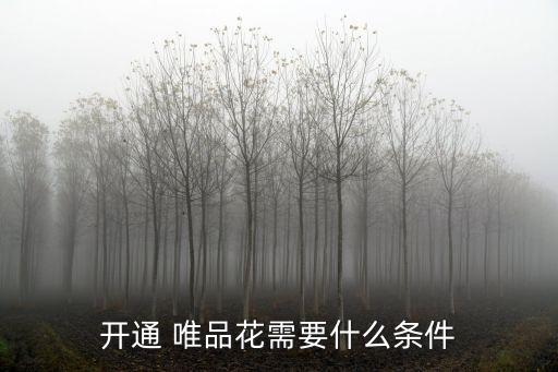 開通 唯品花需要什么條件