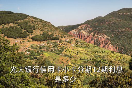光大5萬分12期一期還多少錢