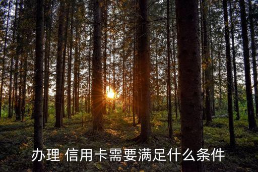 辦理 信用卡需要滿足什么條件