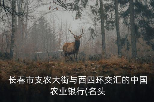  長春市支農(nóng)大街與西四環(huán)交匯的中國 農(nóng)業(yè)銀行(名頭