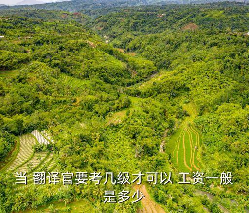 高級(jí)翻譯官工資多少,翻譯官的工資一般是多少