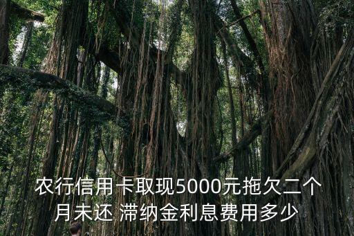 農(nóng)行貸款滯納金多少錢