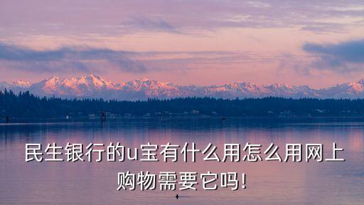  民生銀行的u寶有什么用怎么用網(wǎng)上購物需要它嗎!