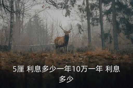 5厘 利息多少一年10萬一年 利息多少