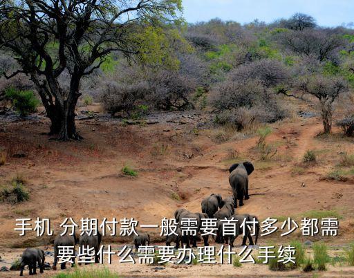 手機(jī) 分期付款一般需要首付多少都需要些什么需要辦理什么手續(xù)