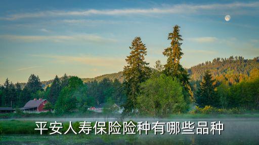平安保險有多少產(chǎn)品,臻滿意平安保險產(chǎn)品