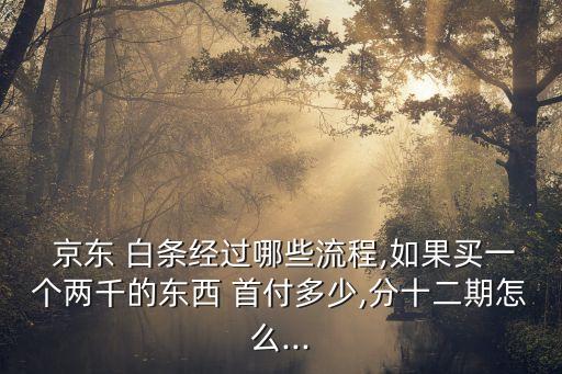 京東打白條首付多少,京東上面打白條先用后付是個(gè)什么情況