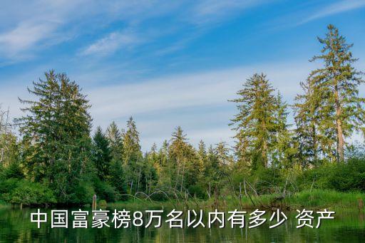 馬云最多資產(chǎn)時(shí)為多少,馬云的資產(chǎn)可以買多少東西