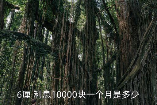 6厘 利息10000塊一個(gè)月是多少