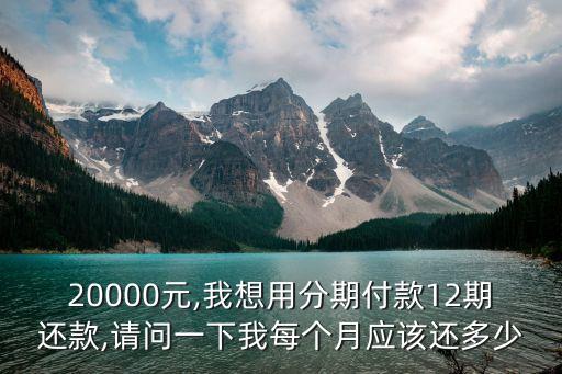 20000元,我想用分期付款12期還款,請問一下我每個(gè)月應(yīng)該還多少