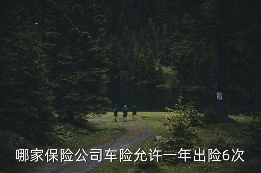 哪家保險(xiǎn)公司車險(xiǎn)允許一年出險(xiǎn)6次
