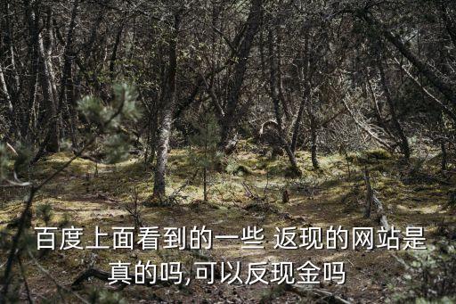  百度上面看到的一些 返現(xiàn)的網(wǎng)站是真的嗎,可以反現(xiàn)金嗎