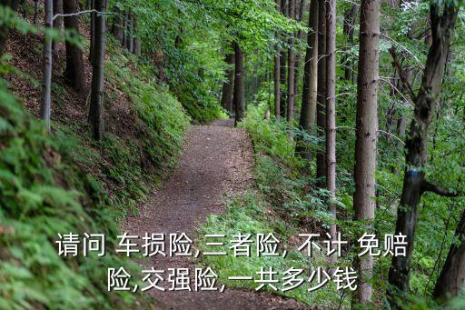 請問 車損險(xiǎn),三者險(xiǎn), 不計(jì) 免賠險(xiǎn),交強(qiáng)險(xiǎn),一共多少錢