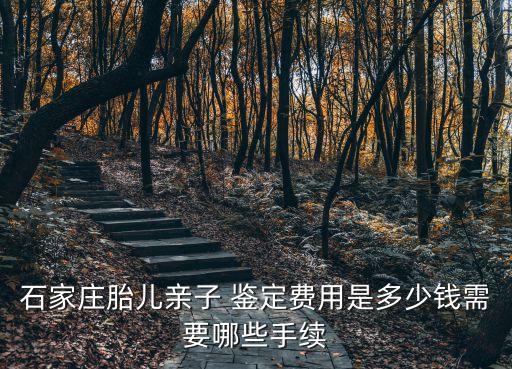 石家莊胎兒親子 鑒定費(fèi)用是多少錢(qián)需要哪些手續(xù)
