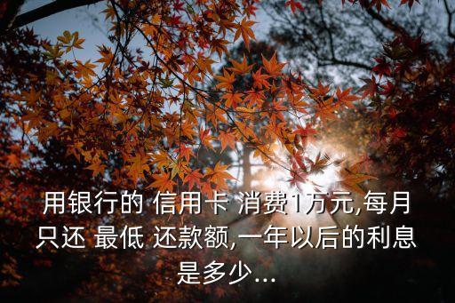 信用卡消費一萬多最低還款多少,一萬多信用卡最低還款要多少利息