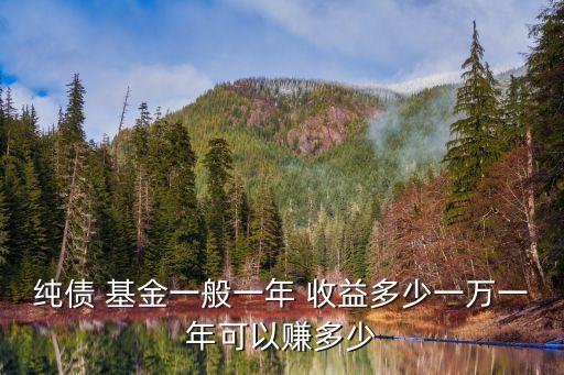 純債 基金一般一年 收益多少一萬一年可以賺多少