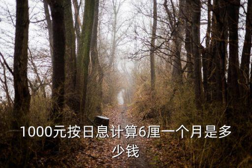 1千塊6厘利息是多少