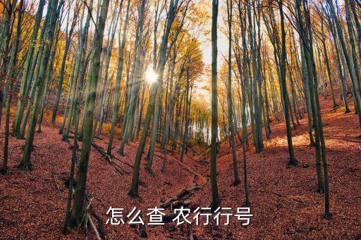 怎么查 農(nóng)行行號