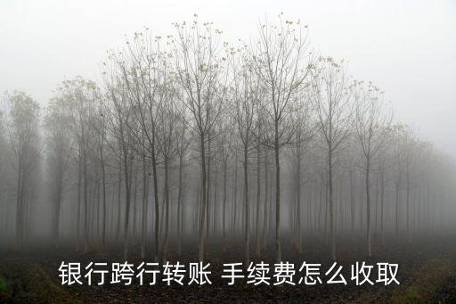  銀行跨行轉(zhuǎn)賬 手續(xù)費(fèi)怎么收取