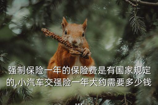 小車新車強(qiáng)制險多少錢,小車強(qiáng)制險多少錢一年
