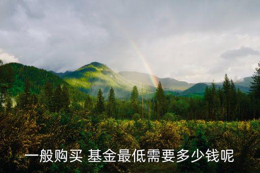 一般購買 基金最低需要多少錢呢