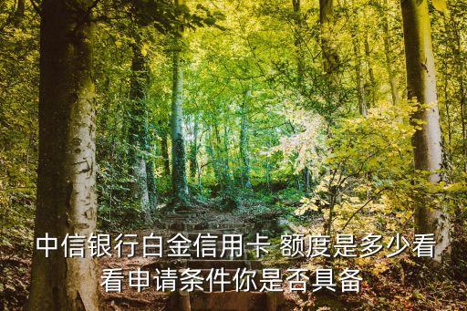  中信銀行白金信用卡 額度是多少看看申請條件你是否具備
