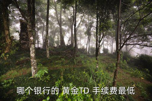 哪個(gè)銀行的 黃金TD 手續(xù)費(fèi)最低