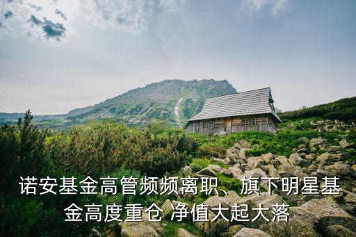  諾安基金高管頻頻離職、旗下明星基金高度重倉 凈值大起大落