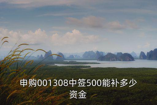 申購001308中簽500能補多少資金