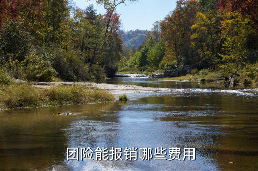 團險 重疾可以報多少