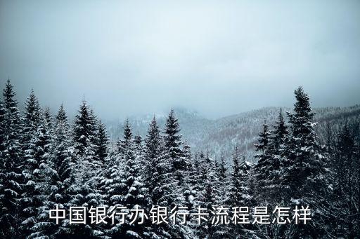中行開戶鉑金卡須多少錢