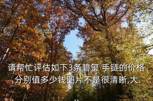 黑色電氣石手鏈多少錢