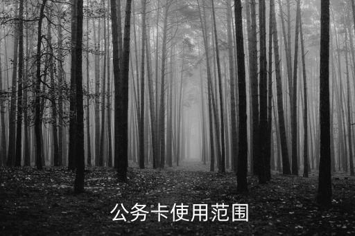  公務(wù)卡使用范圍