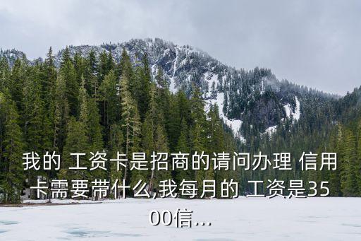 我的 工資卡是招商的請問辦理 信用卡需要帶什么,我每月的 工資是3500信...