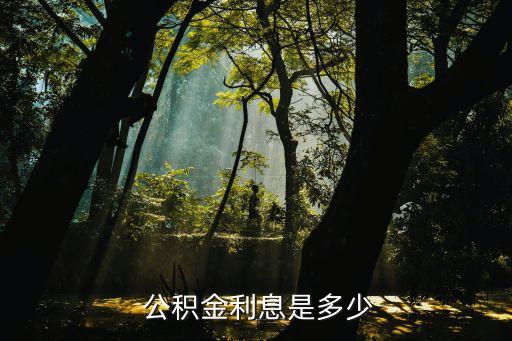 公積金現(xiàn)在的利率是多少錢,部隊公積金利率多少
