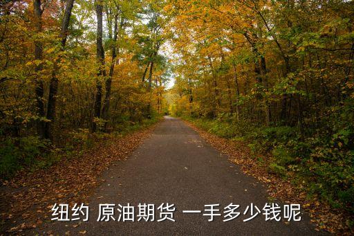 紐約 原油期貨 一手多少錢呢