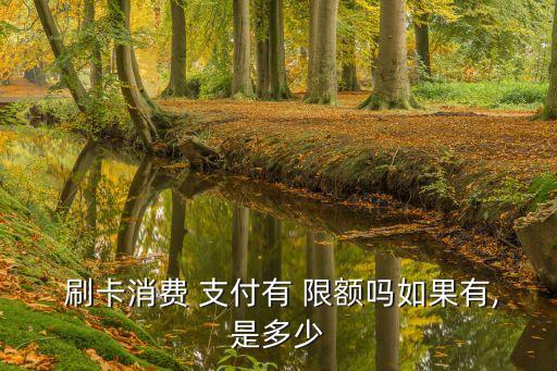  刷卡消費 支付有 限額嗎如果有,是多少