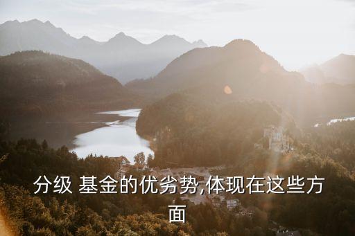  分級 基金的優(yōu)劣勢,體現(xiàn)在這些方面