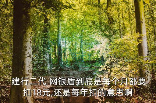  建行二代 網(wǎng)銀盾到底是每個(gè)月都要扣18元,還是每年扣的意思啊