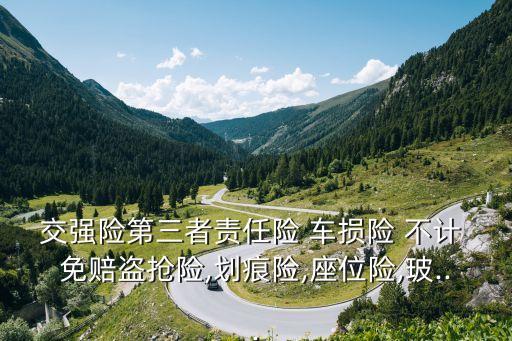 交強(qiáng)險(xiǎn)第三者責(zé)任險(xiǎn) 車損險(xiǎn) 不計(jì) 免賠盜搶險(xiǎn),劃痕險(xiǎn),座位險(xiǎn),玻...