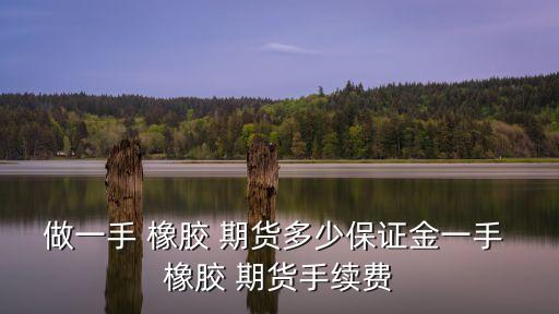 做一手 橡膠 期貨多少保證金一手 橡膠 期貨手續(xù)費(fèi)