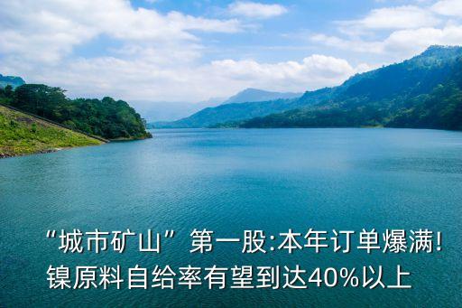 “城市礦山”第一股:本年訂單爆滿!鎳原料自給率有望到達(dá)40%以上