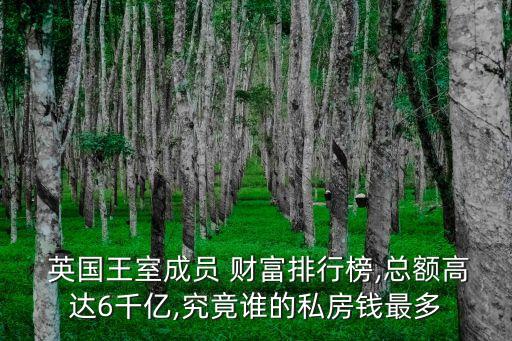 英國女王有多少財富